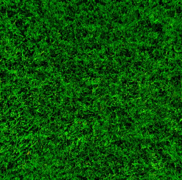 landscape-maintenance-36